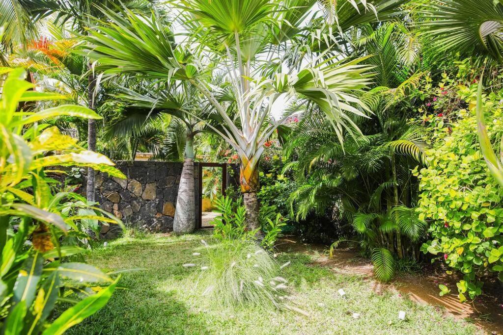 Villa Tropicale Balinaise Intimiste Гран-Бе Екстер'єр фото